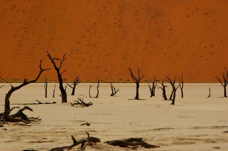 403 Namibia Okt 2006 .JPG